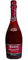 Сувенирное вино. Подарочное шампанское. Canti Bracetto с фирменным логотипом